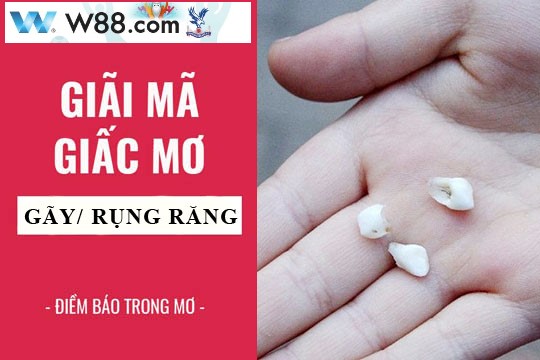 hình 2: Những giấc mơ, căng thẳng và rụng răng