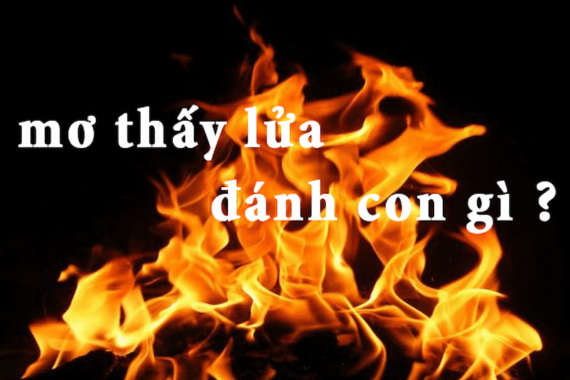 Mơ thấy bếp lửa cháy đánh con gì